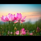 Música Relajante de Piano y Violin: Música Instrumental para Estudiar y Concentrarse