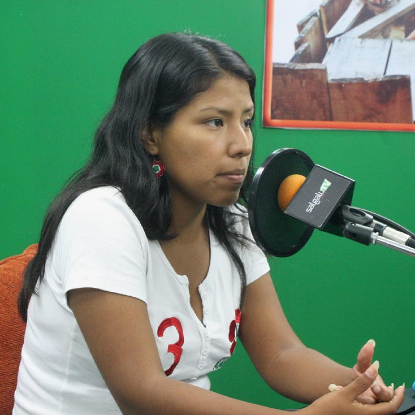 Movilización Regional Anemia y desnutrición CERO