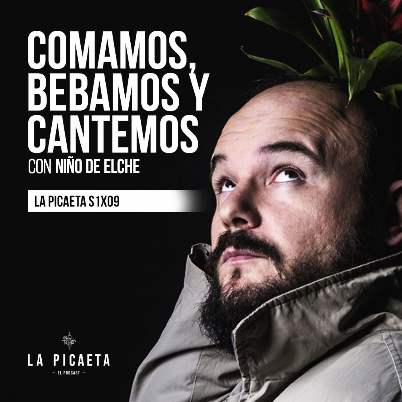 LA PICAETA