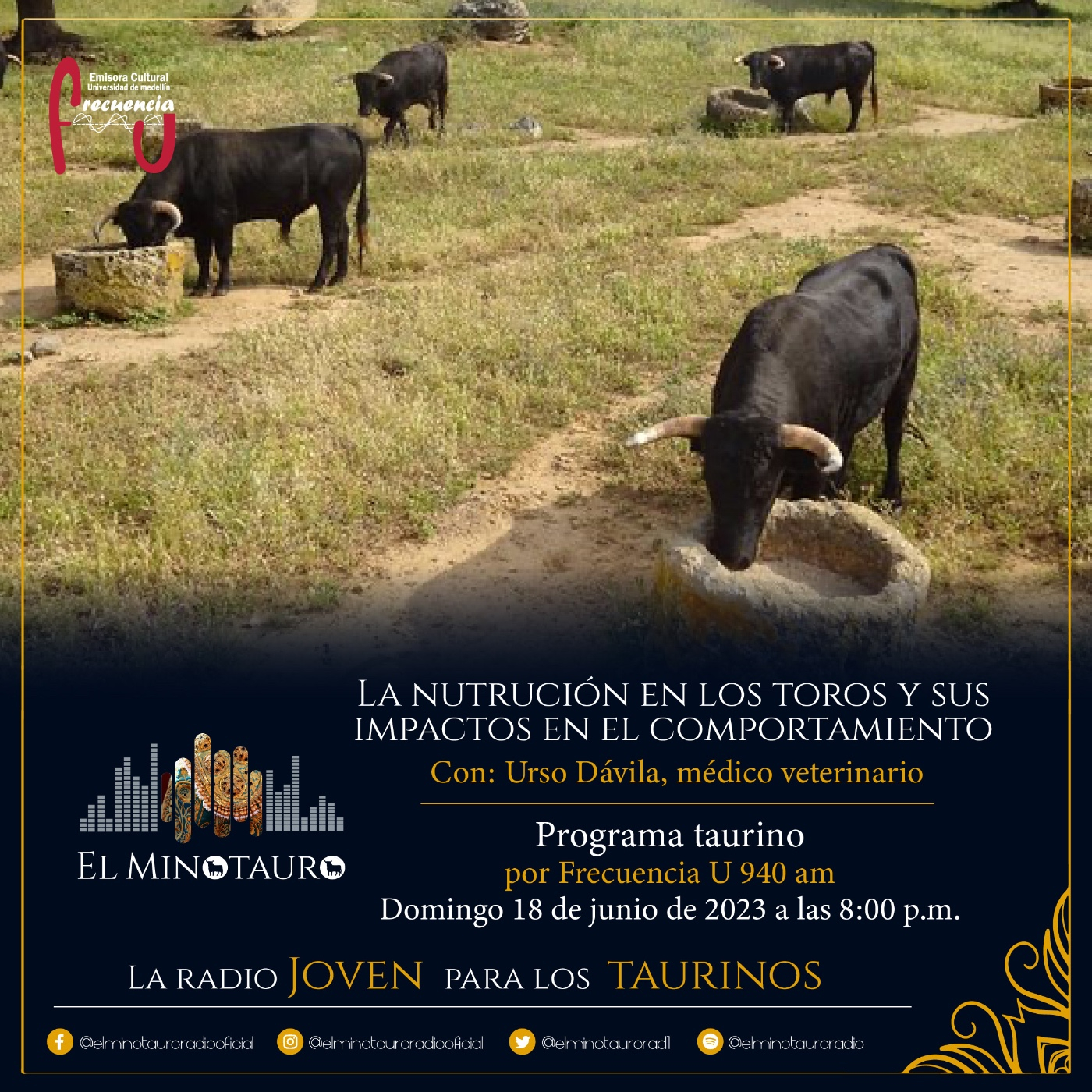 El Minotauro Radio