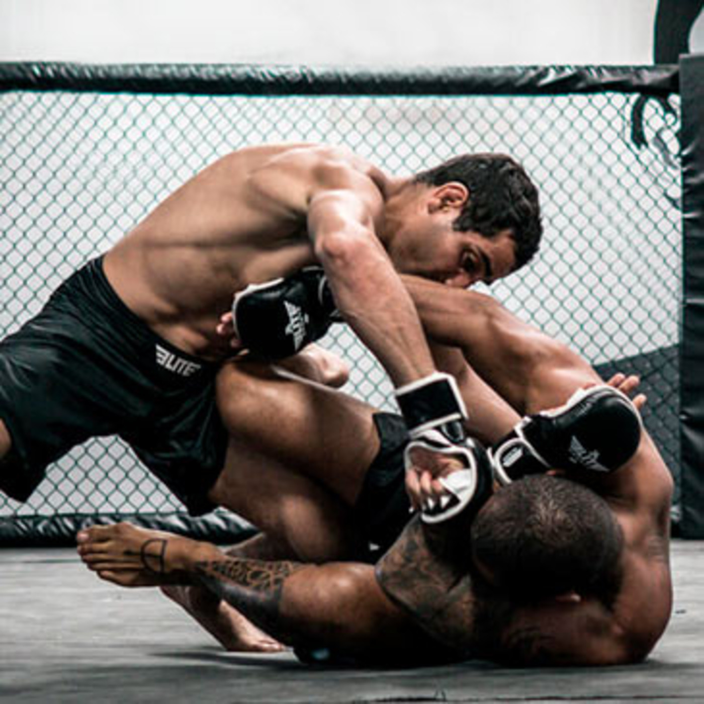 Dragonz | Artes Marciales y Deportes de Contacto