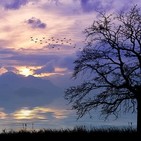 Energía atómica y científicos y gobernantes inmaduros
