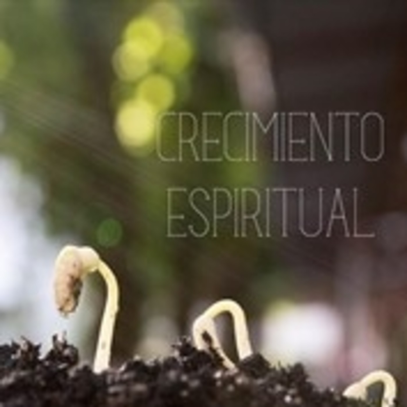 Enseñanzas