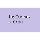 Entrevista con Diego Carrasco "Hippytano"