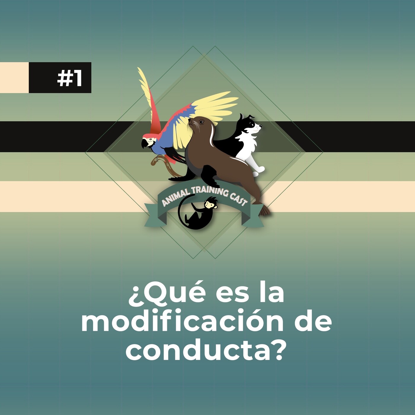 1. ¿Qué es la modificación de conducta?