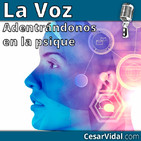 Adentrándonos en la psique: Neuropsicología de la inteligencia (2) - 20/11/19