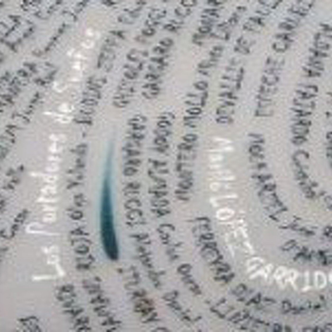 Meditaciones y Audios de Mariló