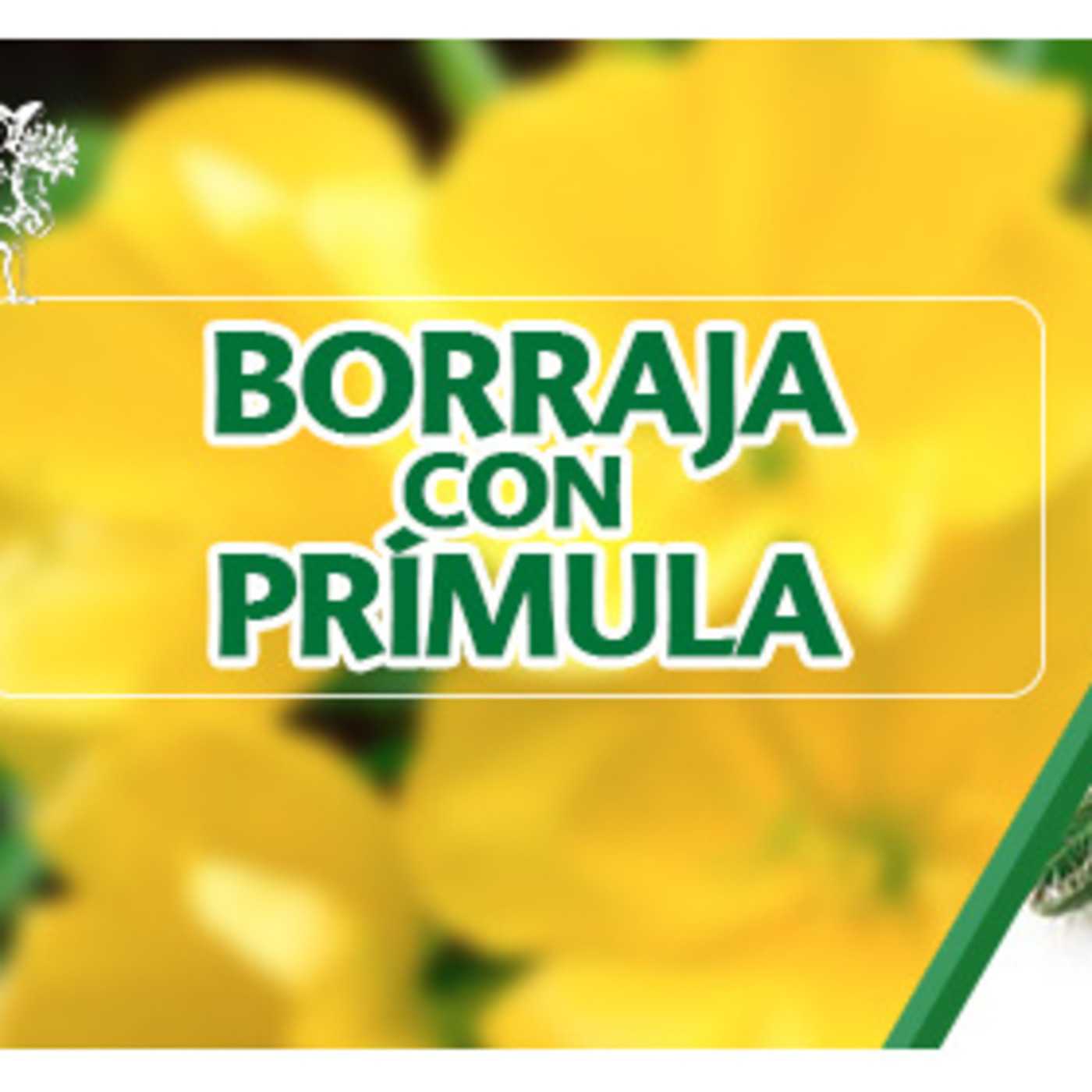 El Ángel de tu Salud - BORRAJA CON PRÍMULA episode artwork