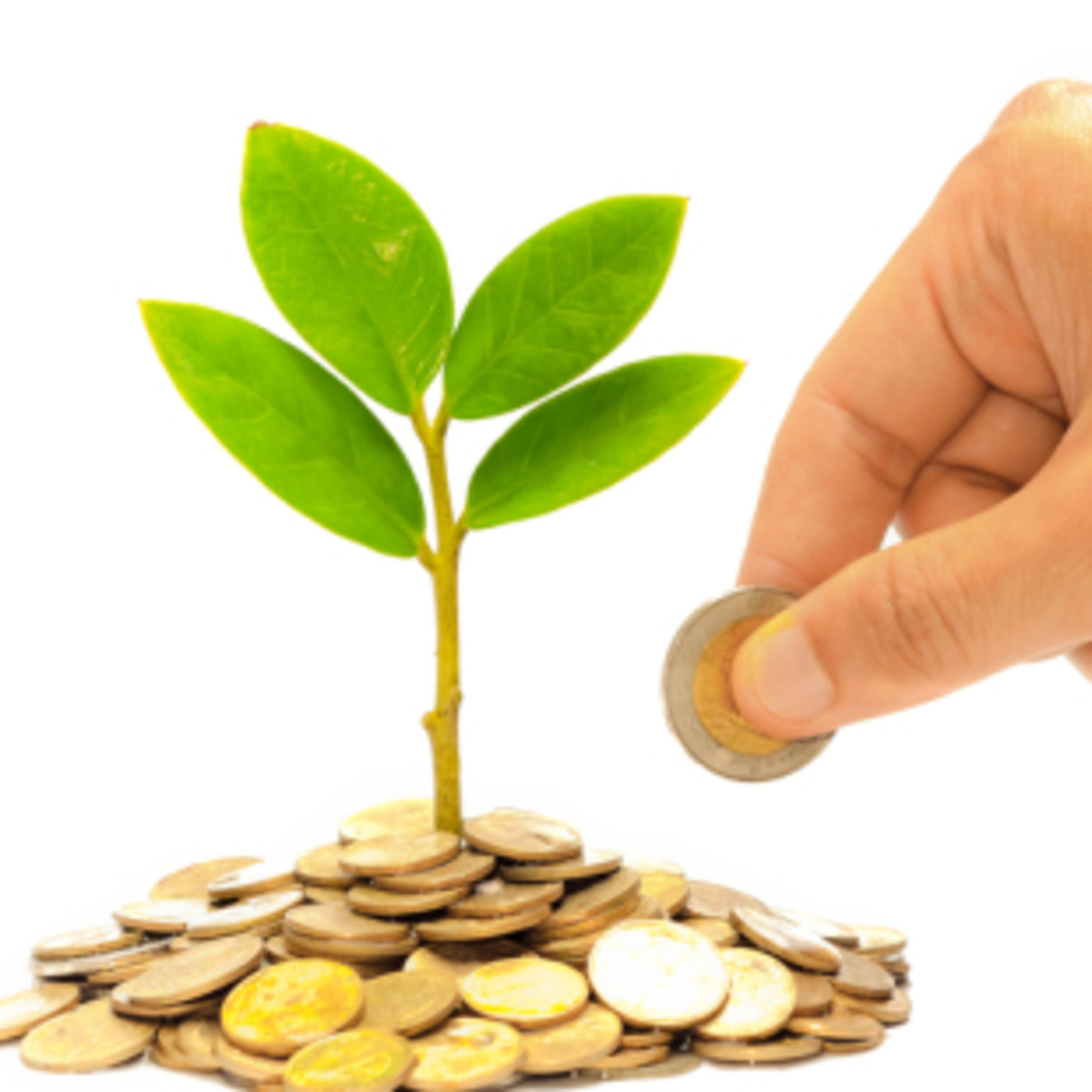 El podcast de trading de Fran Fialli
