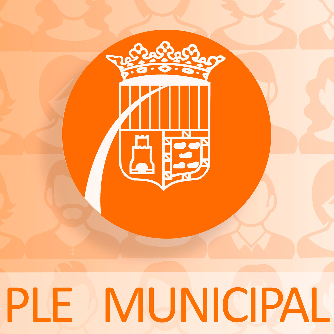 Ple Extraordinari de Pressupostos 2019. Sense talls. episode artwork