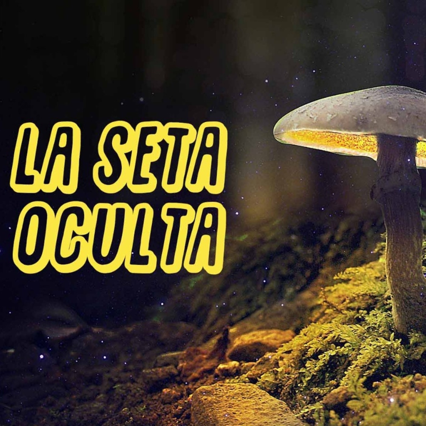 La Seta oculta