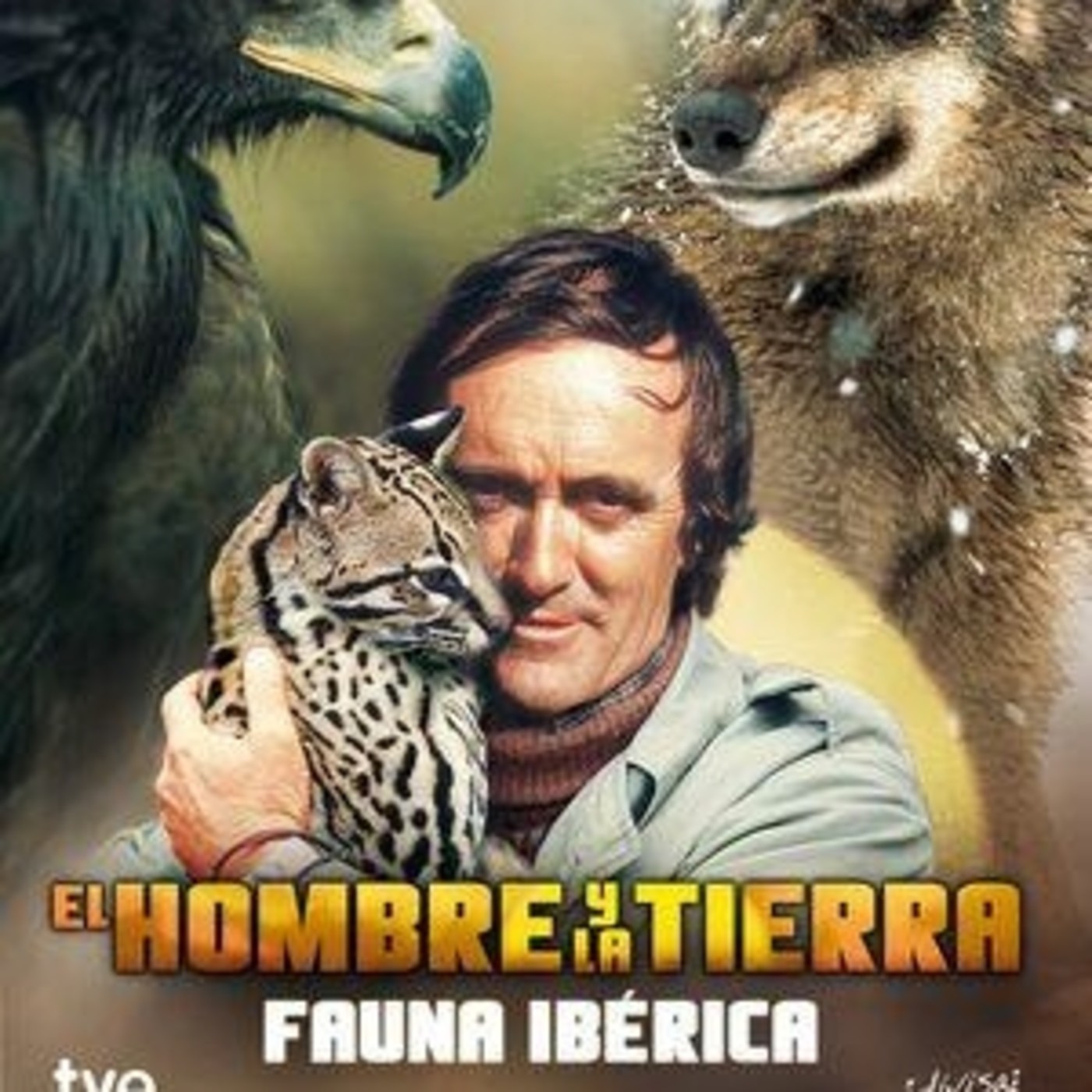 La Biblioteca Sonora (Documentales)