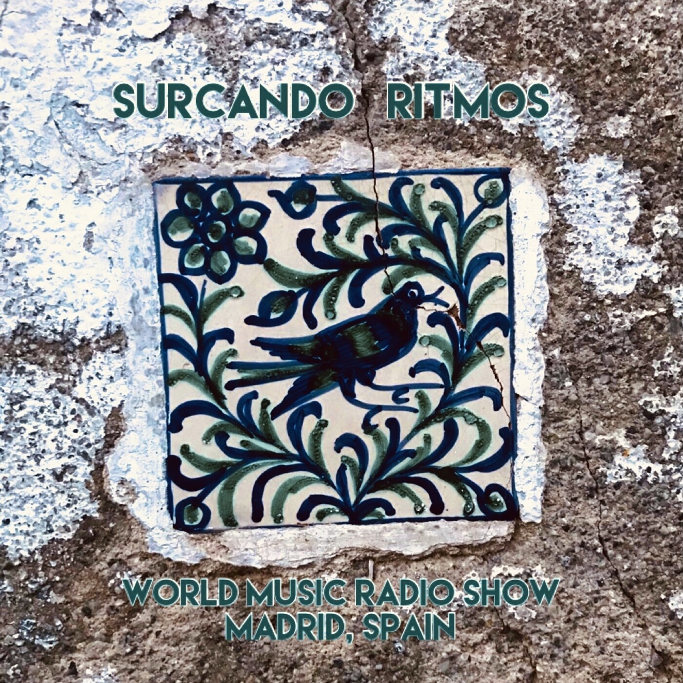 Surcando Ritmos