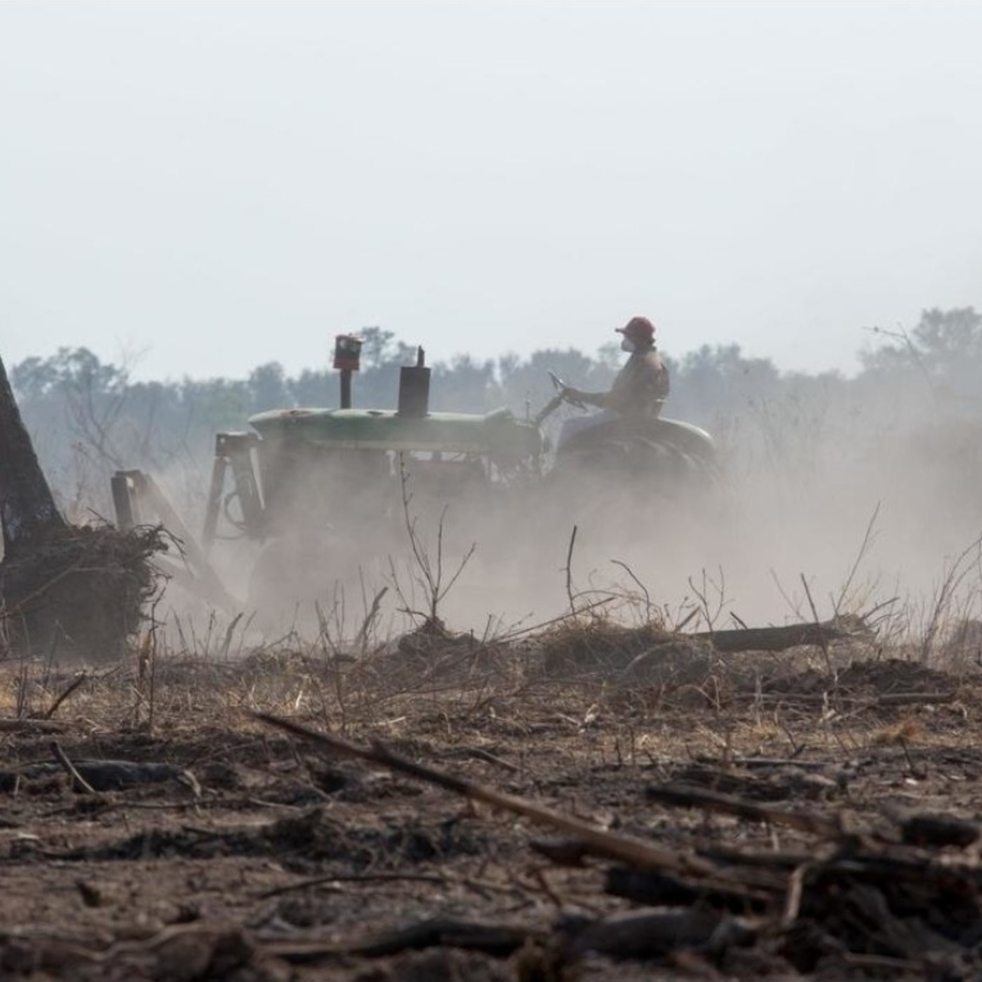 VOCES DISIDENTES - FM SIGNOS