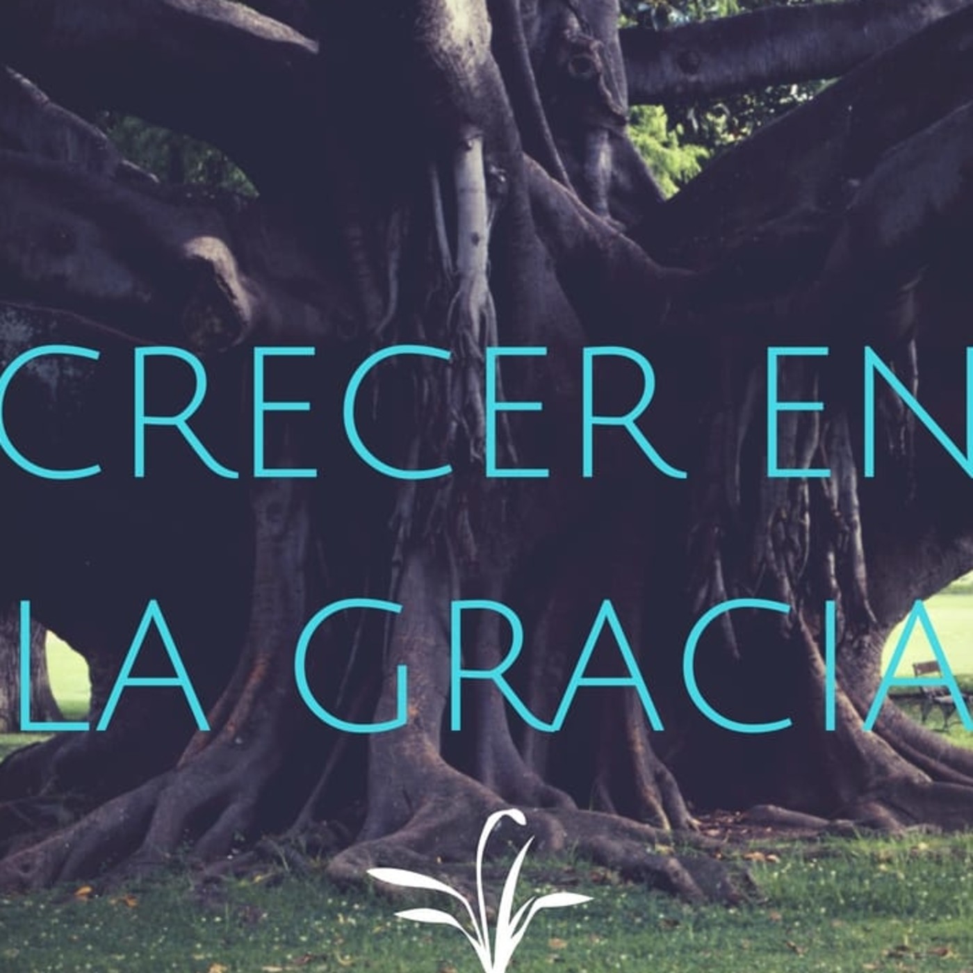 Crecer en la Gracia 15 Pacto de confianza - Pastor Kenneth Solá episode artwork