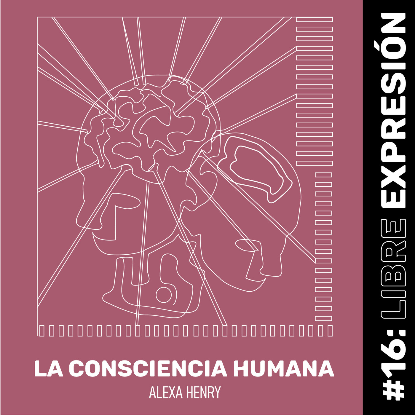 LA CONSCIENCIA HUMANA