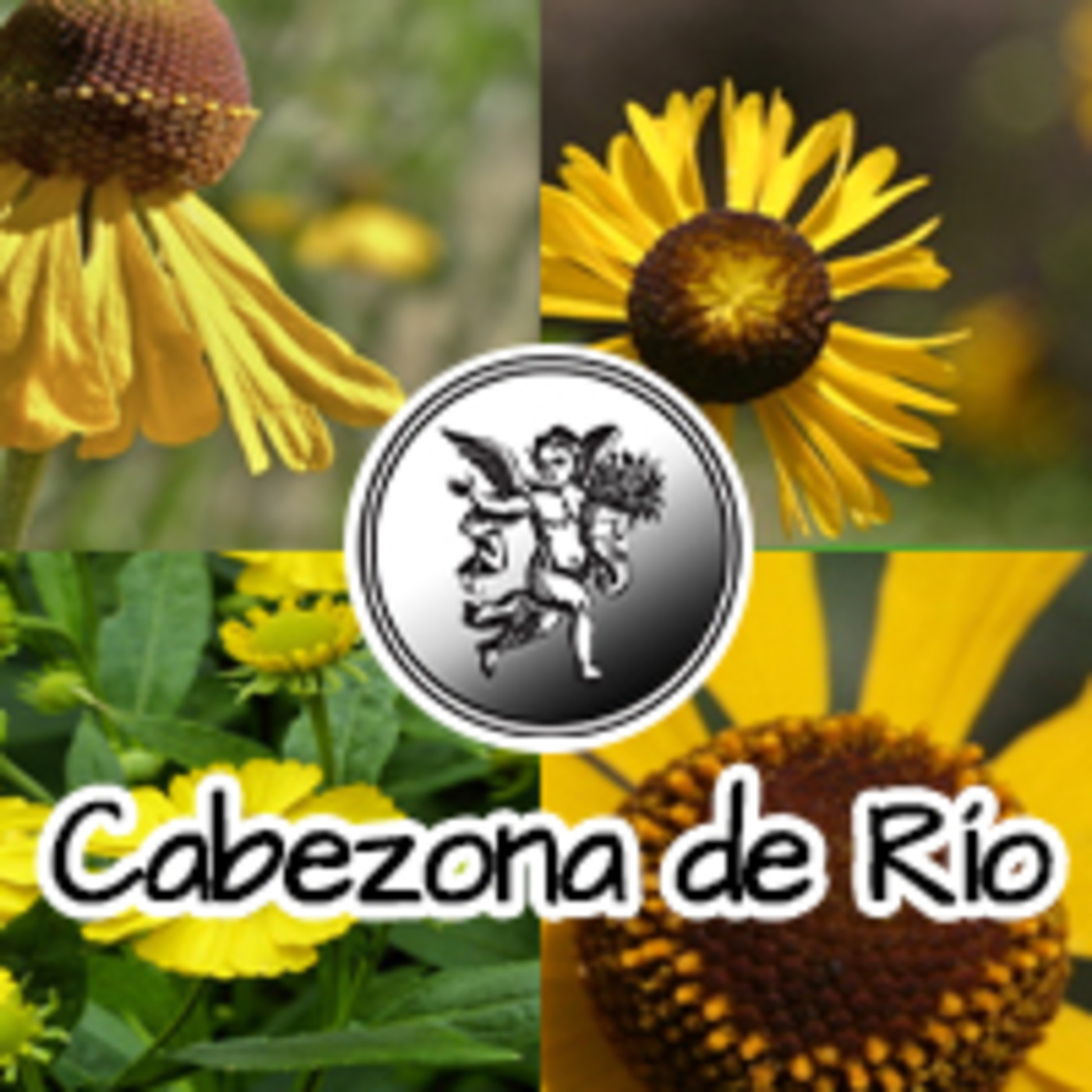 El Ángel de tu Salud - CABEZONA DE RÍO **** episode artwork