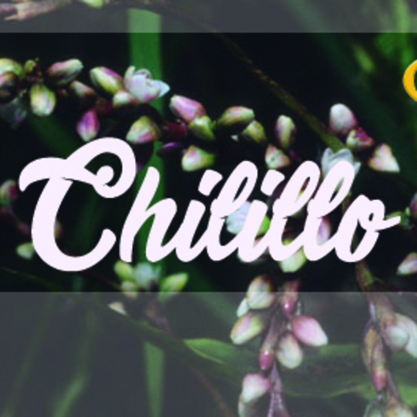 El Ángel de tu Salud - CHILILLO episode artwork