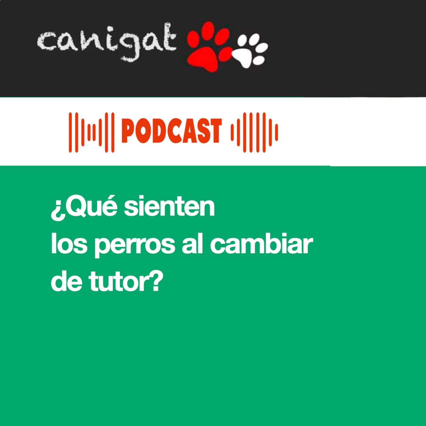 Consejos veterinarios de perros y gatos by canigat
