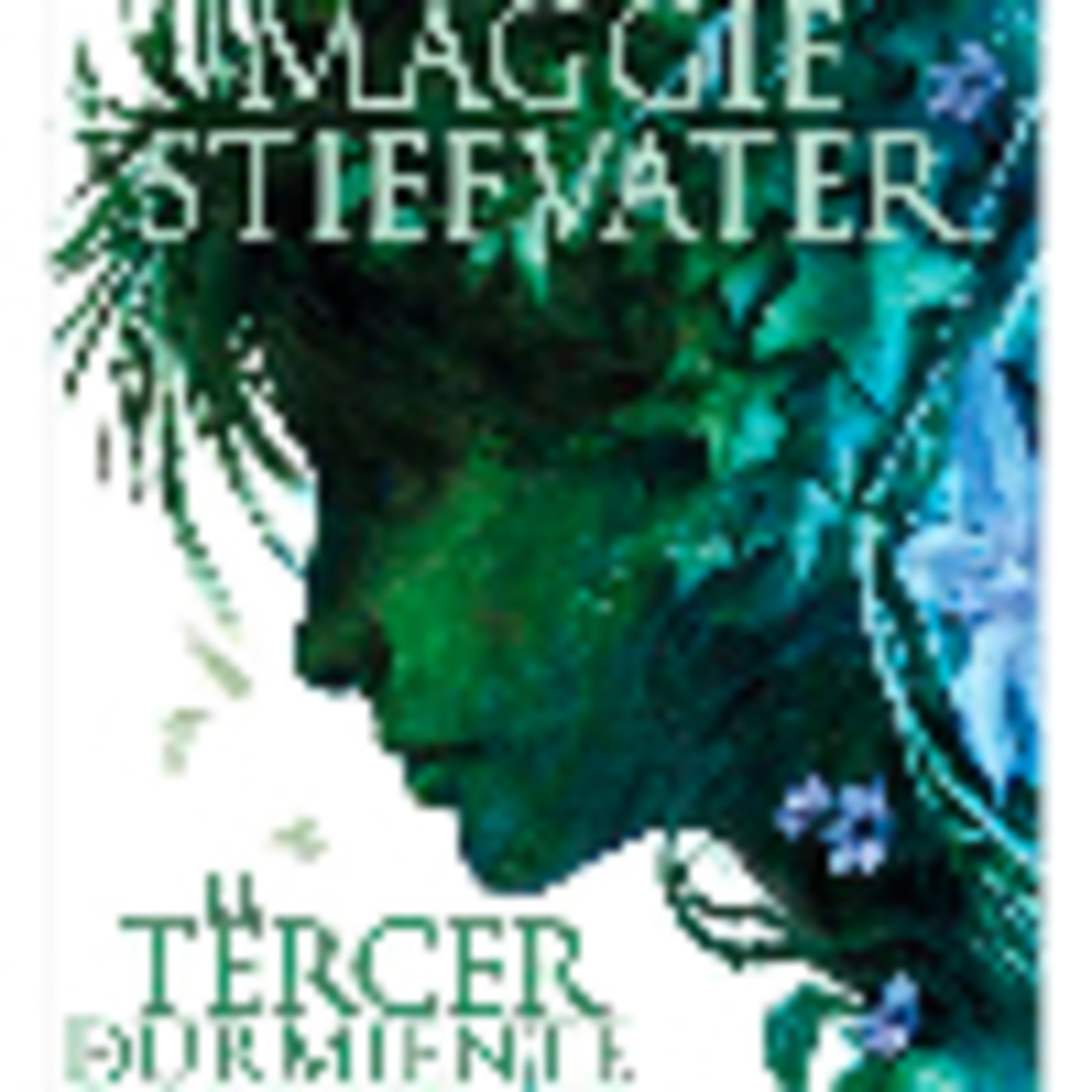 Maggie Stiefvater - The raven boys El tercer durmi