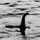 Lago Ness: La última evidencia