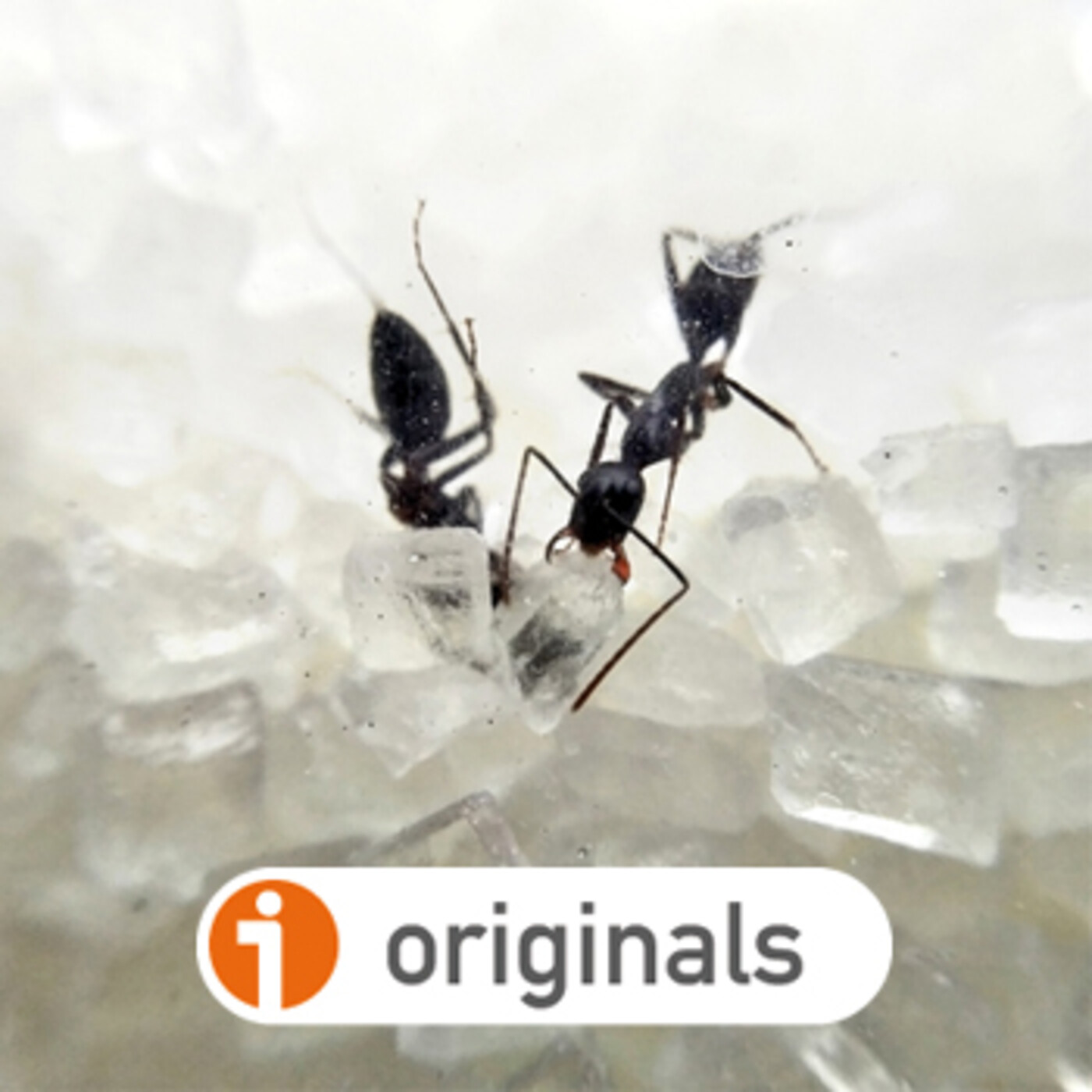 HISTORIAS PARA SER LEÍDAS