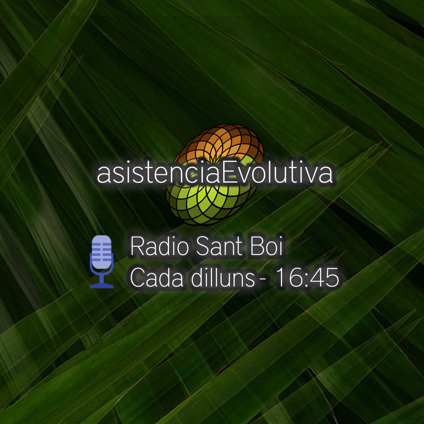 Asistencia Evolutiva - Programas de Radio