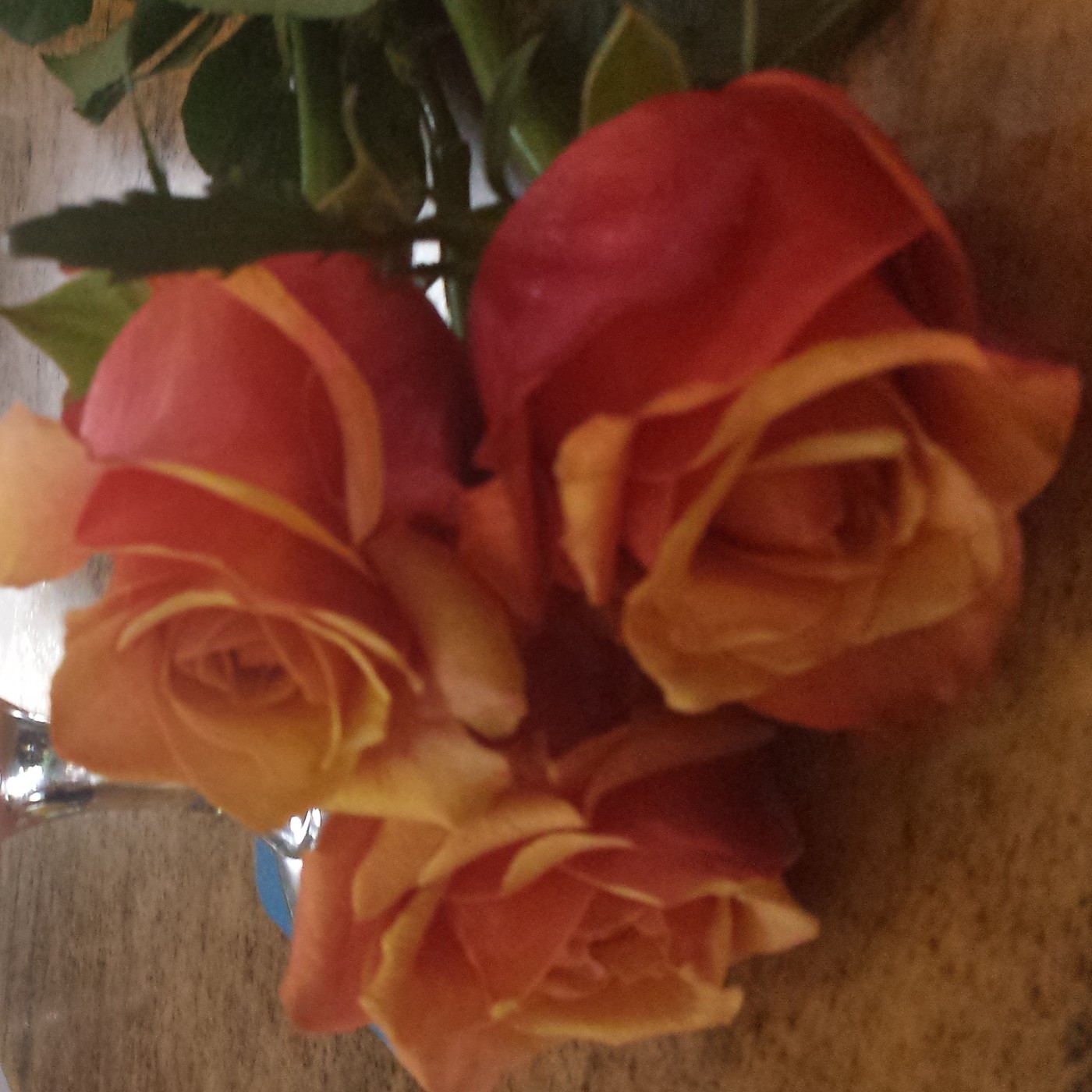 Nuestra Mente es Maravillosa