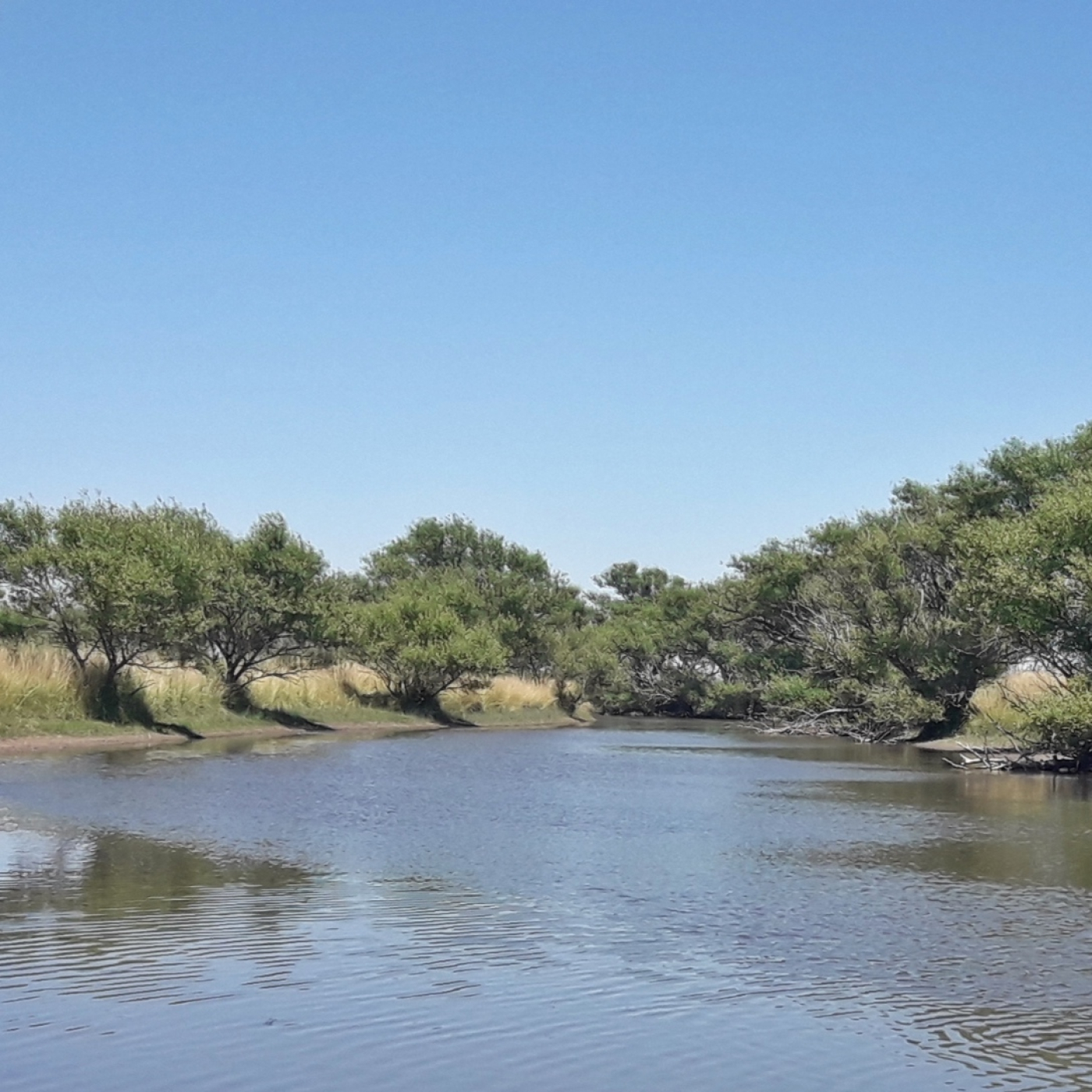 Planeta Pesca