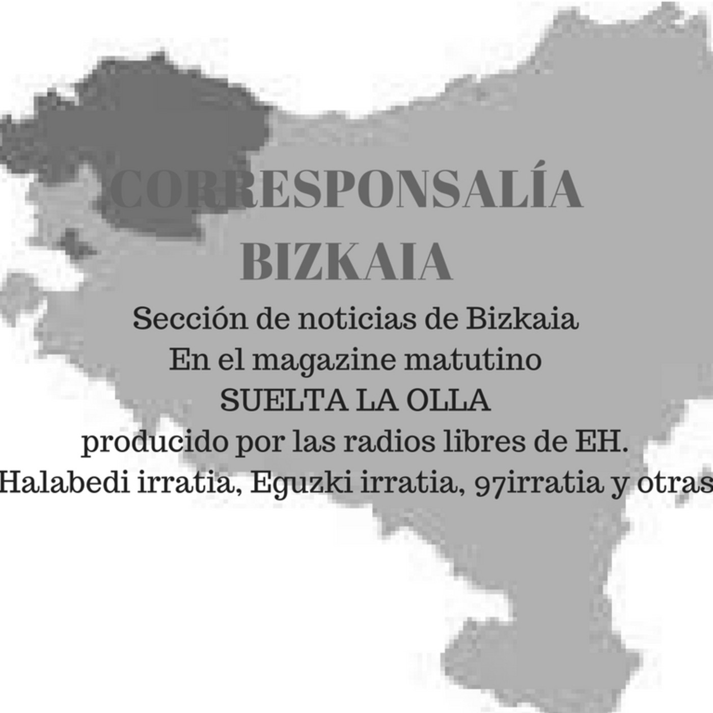 corresponsalía bizkaia