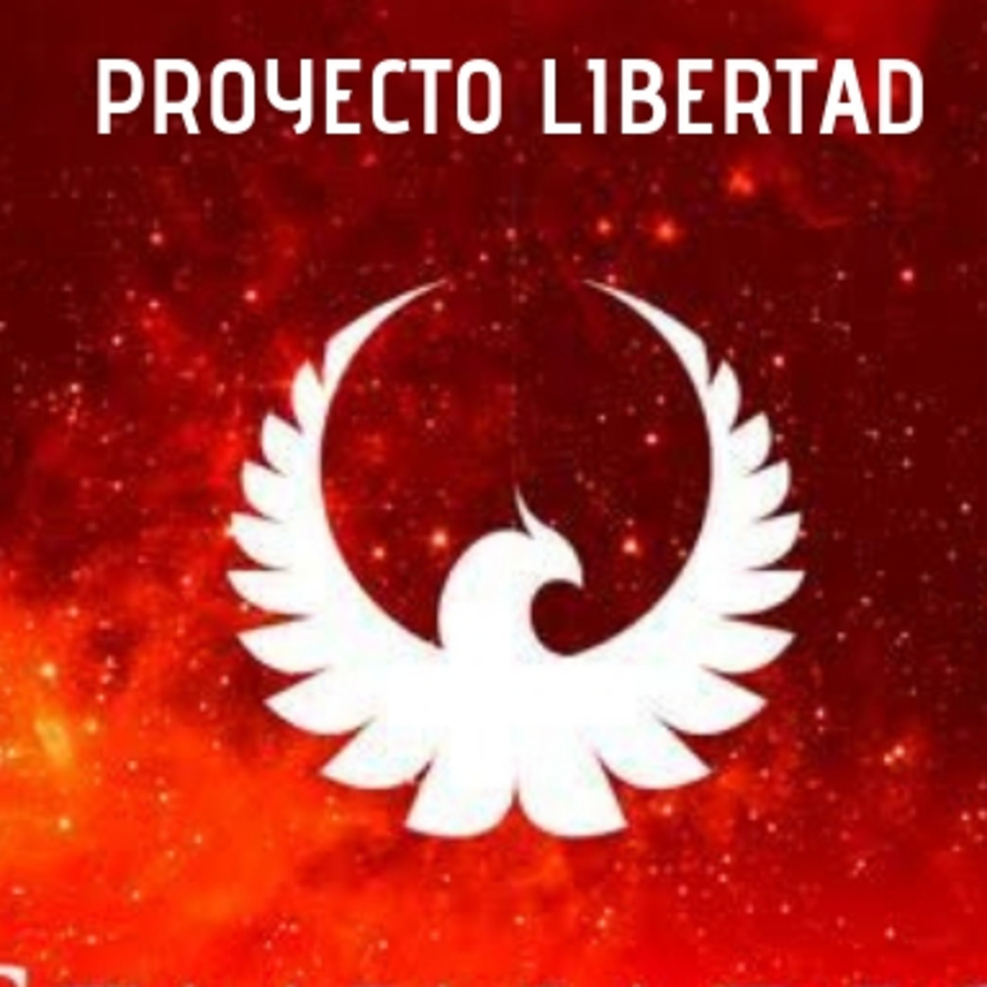 SEMINARIO FENIX