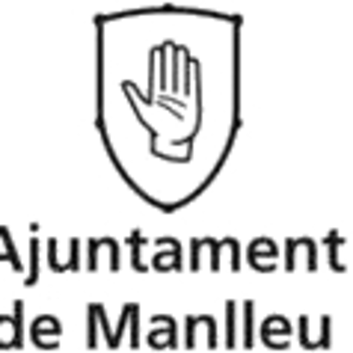 Ple Març 2020 - Sessió ordinària