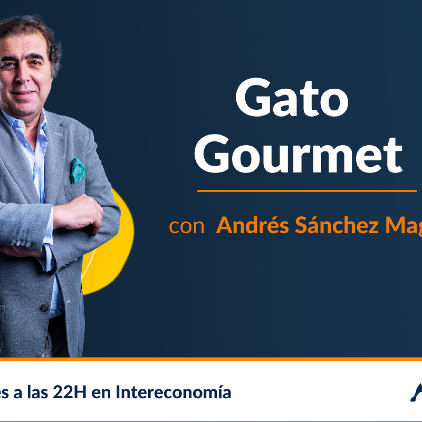 Gato Gourmet