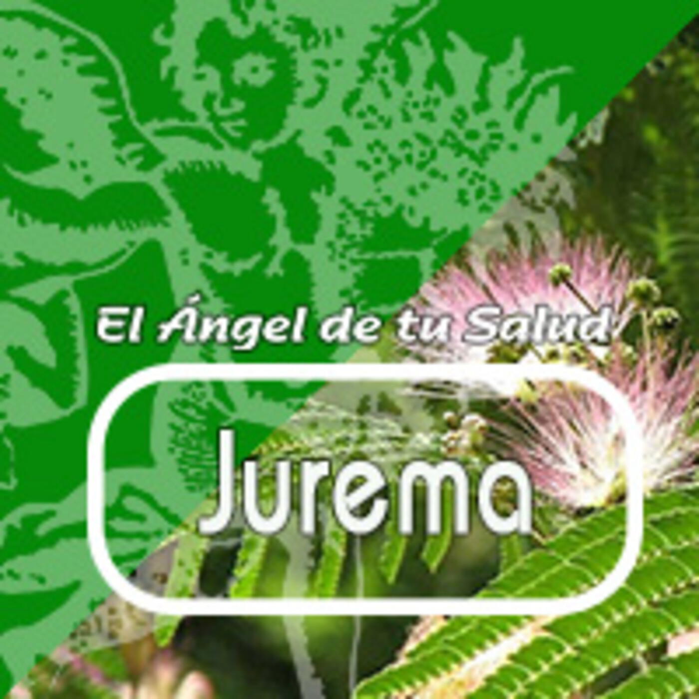 El Angel de tu Salud - JUREMA *** episode artwork