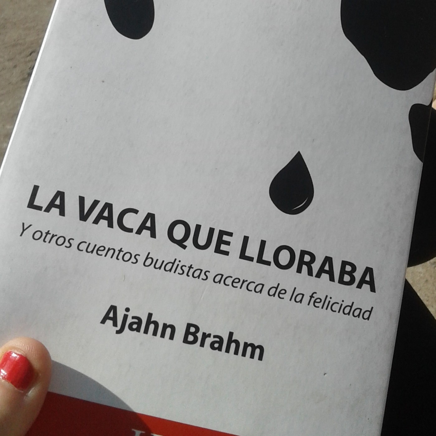 AudioLibro \