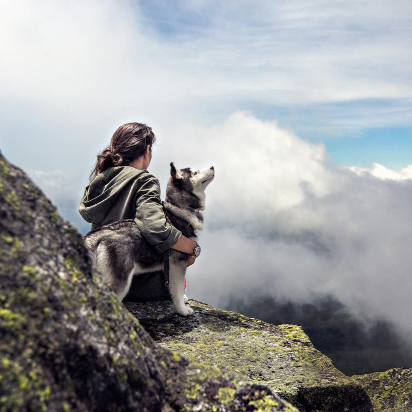 La vida hay que vivirla