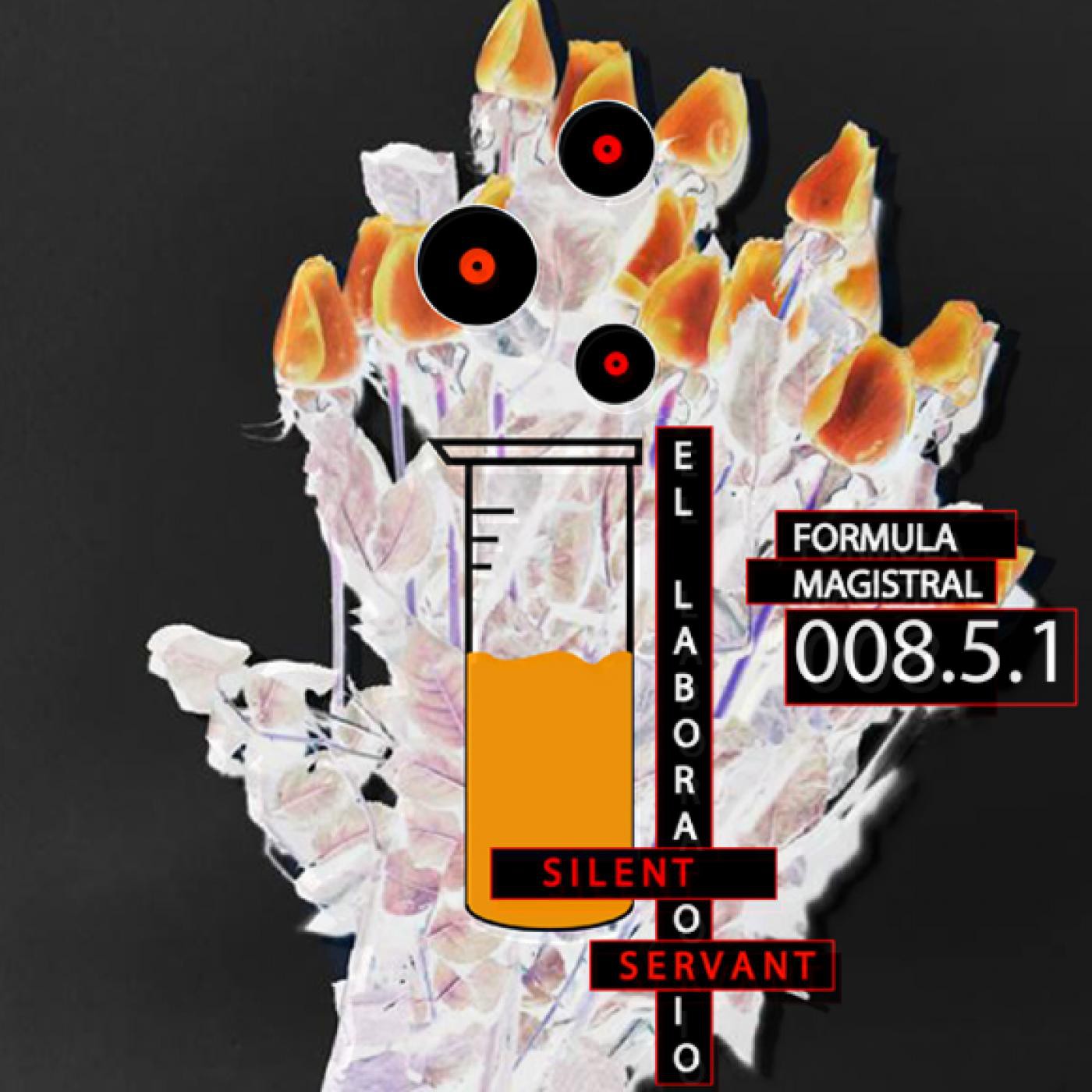 El Laboratorio - Formula magistral 008.5.1 - Silent Servant In session mixed By Abiz Sonko