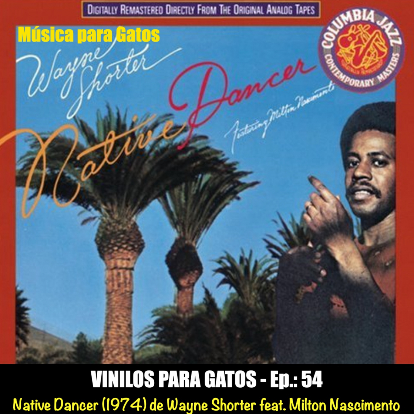 Música para Gatos