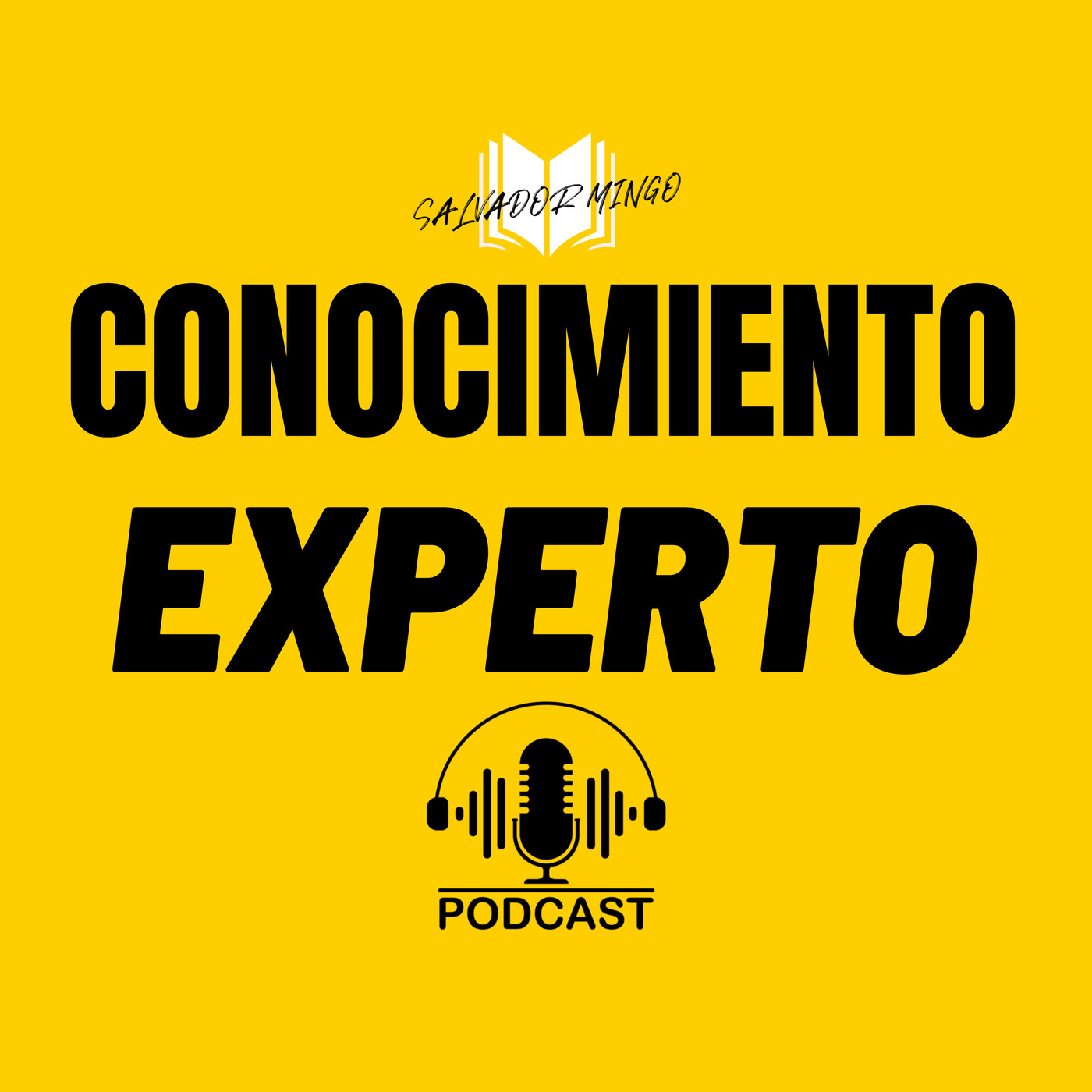 Salvador Mingo -Conocimiento Experto-
