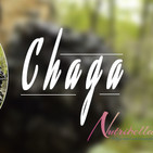 Nutribella - CHAGA