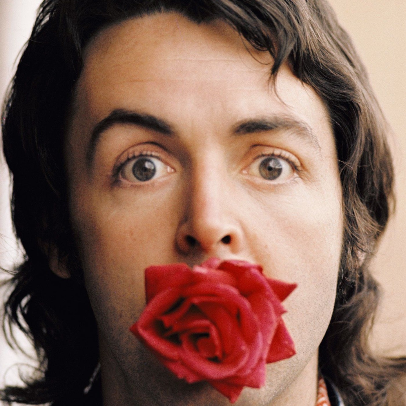 Proyecto Beatle