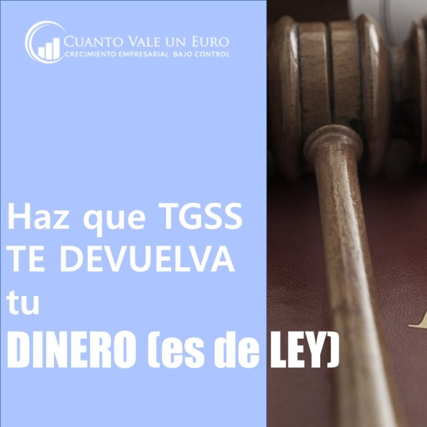 Crecimiento Empresarial Bajo Control by cuantovale