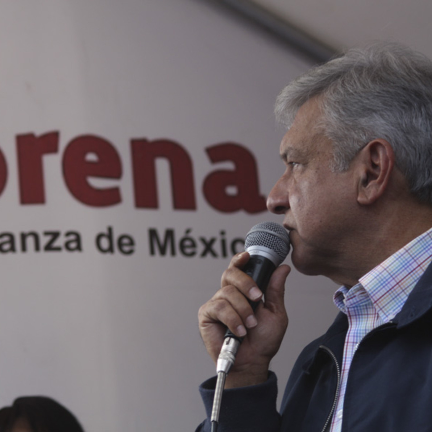 Desde la raíz