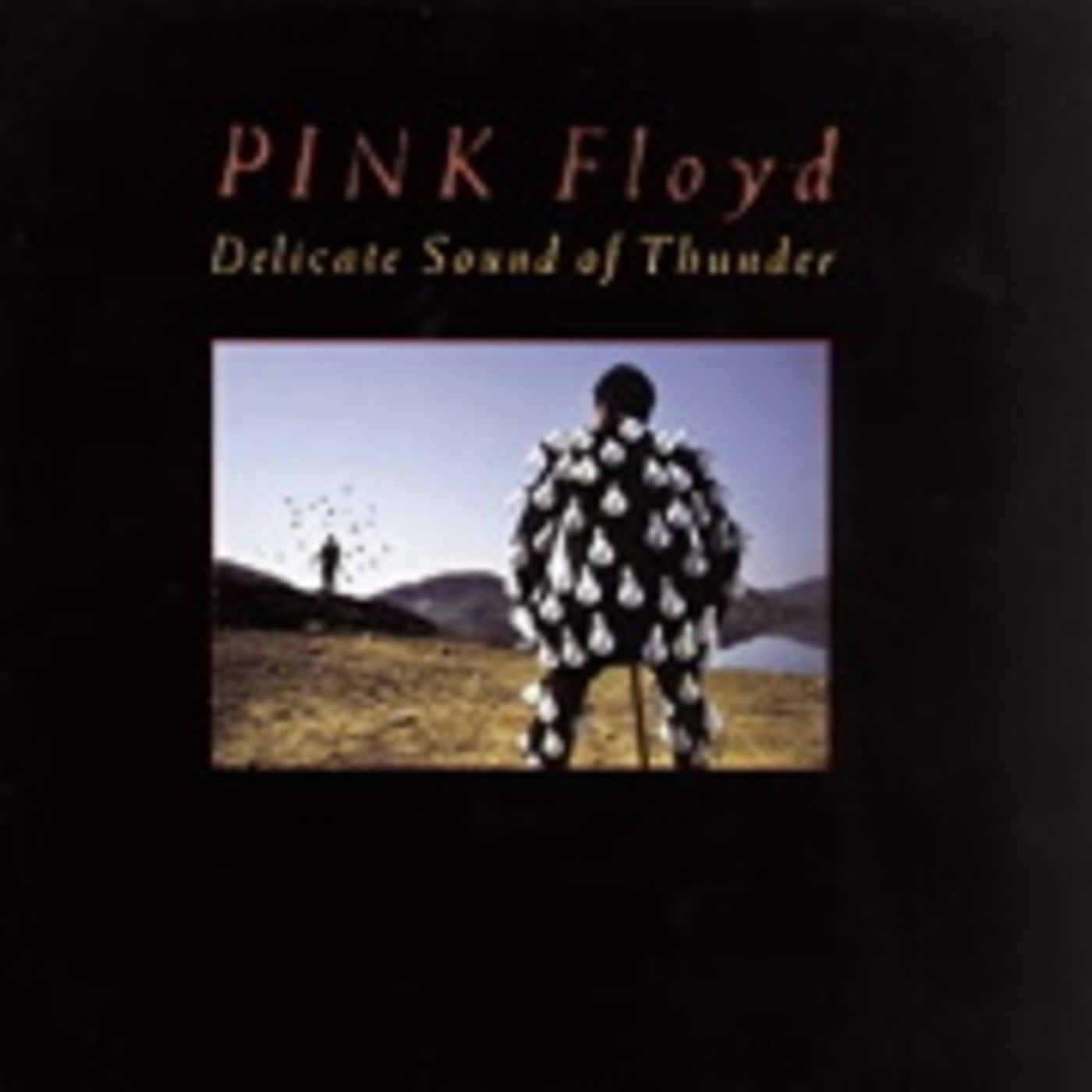 Pink Floyd, Delicate Sound Of Thunder, Long Island, 1988 episode artwork