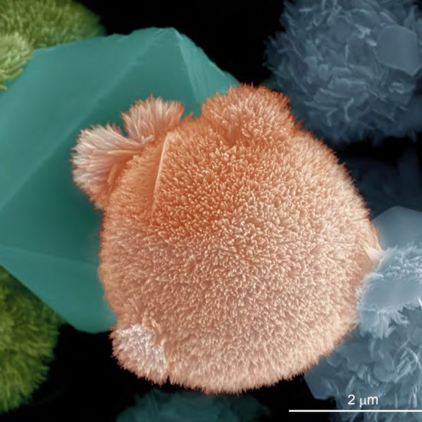 Fotciencia19