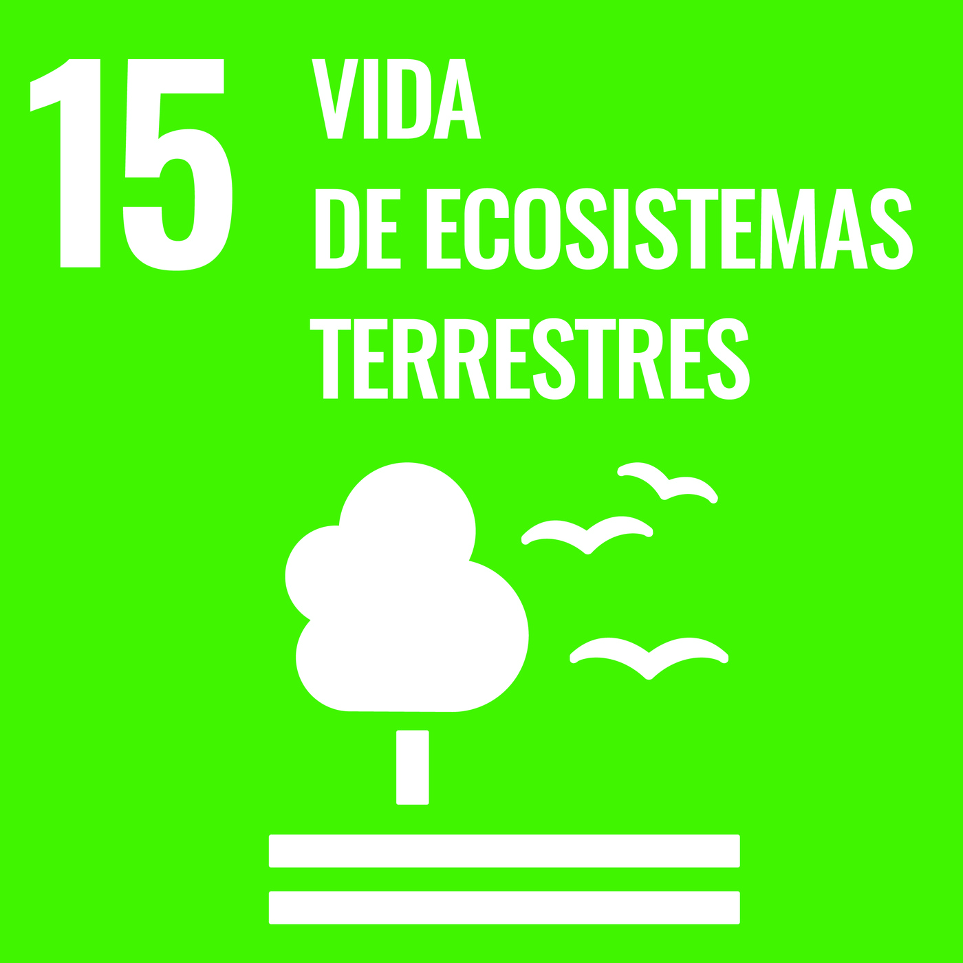 ¡SOS, ODS! 19/20