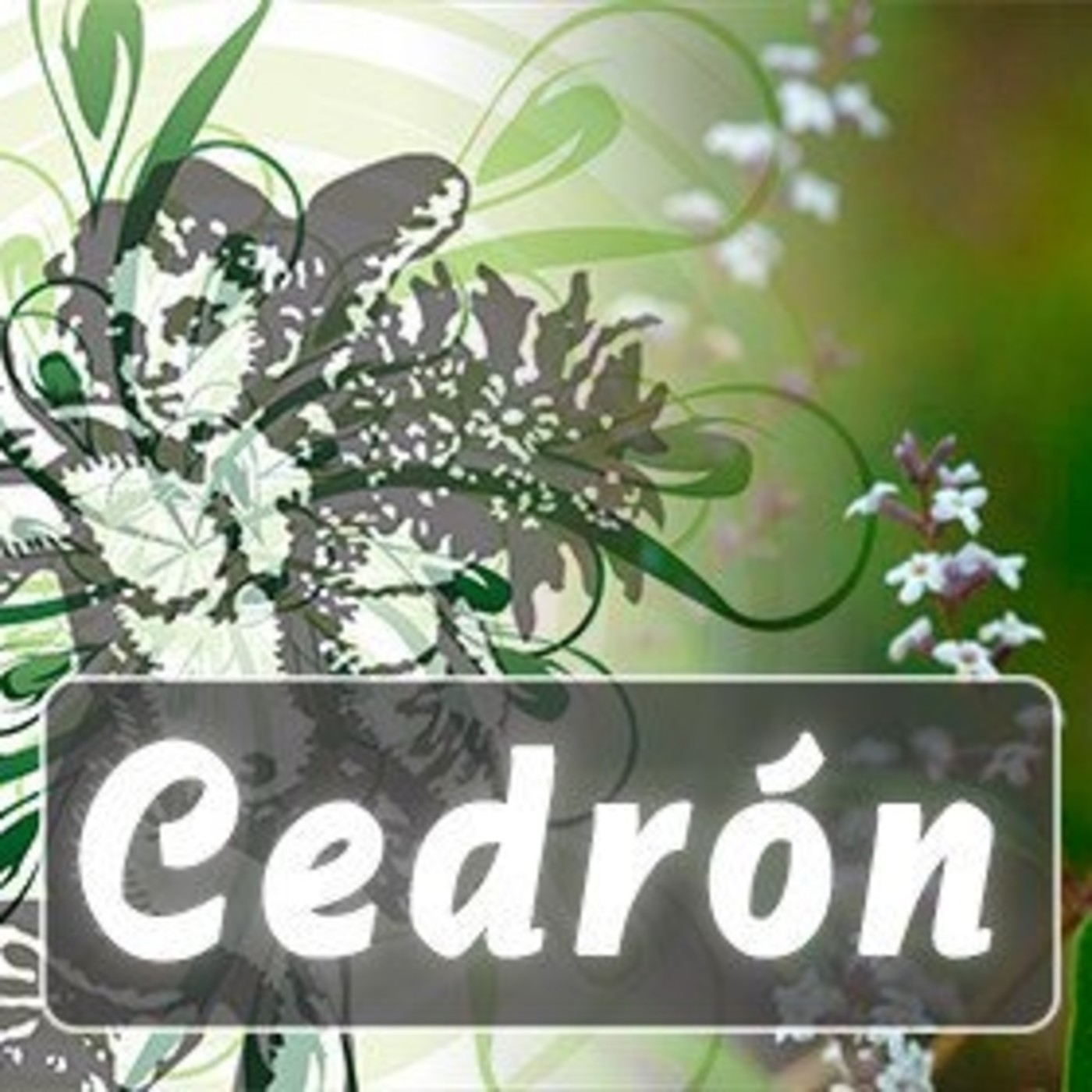 El Ángel de tu Salud - CEDRÓN episode artwork
