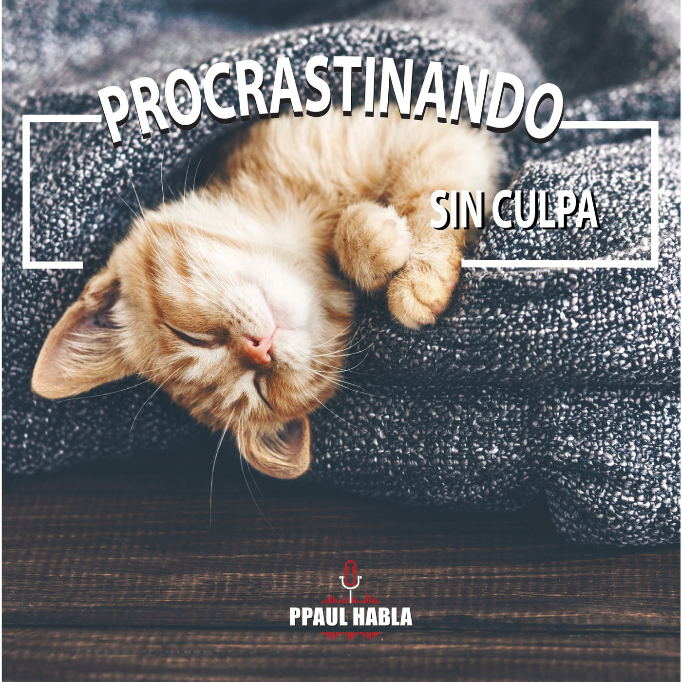 PPAUL HABLA