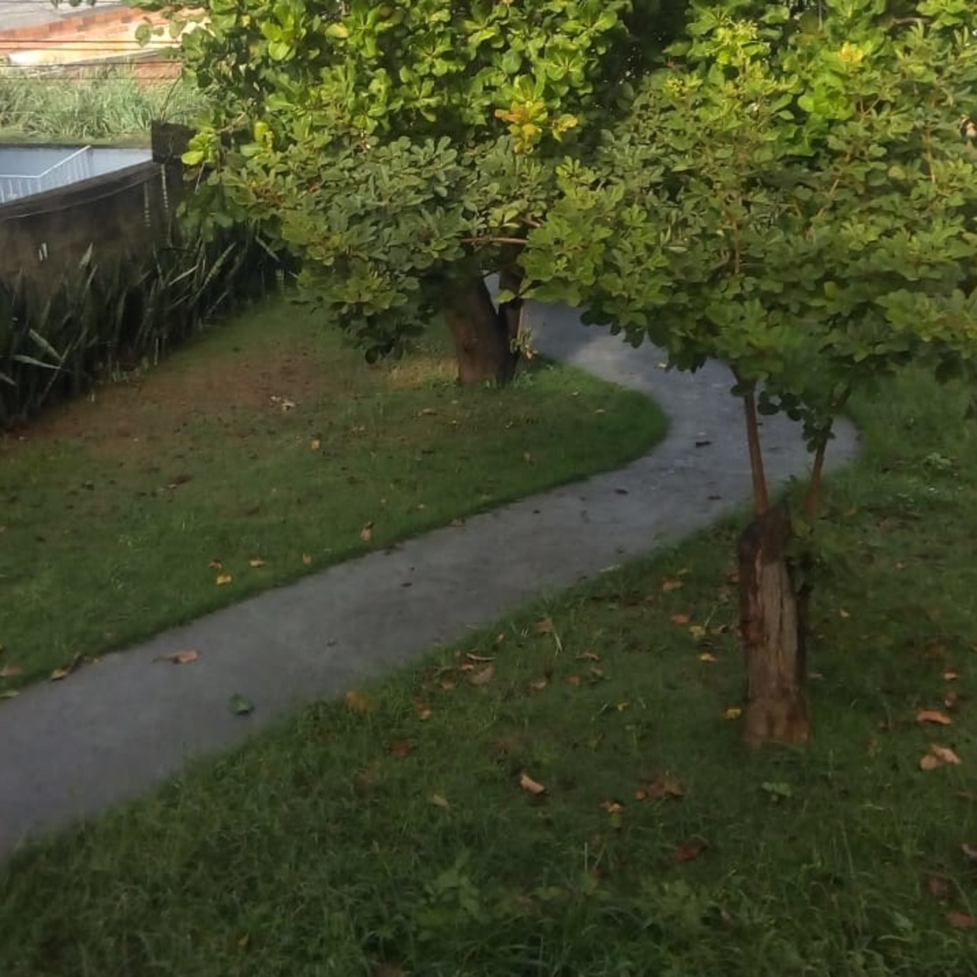 Vozes da quarentena