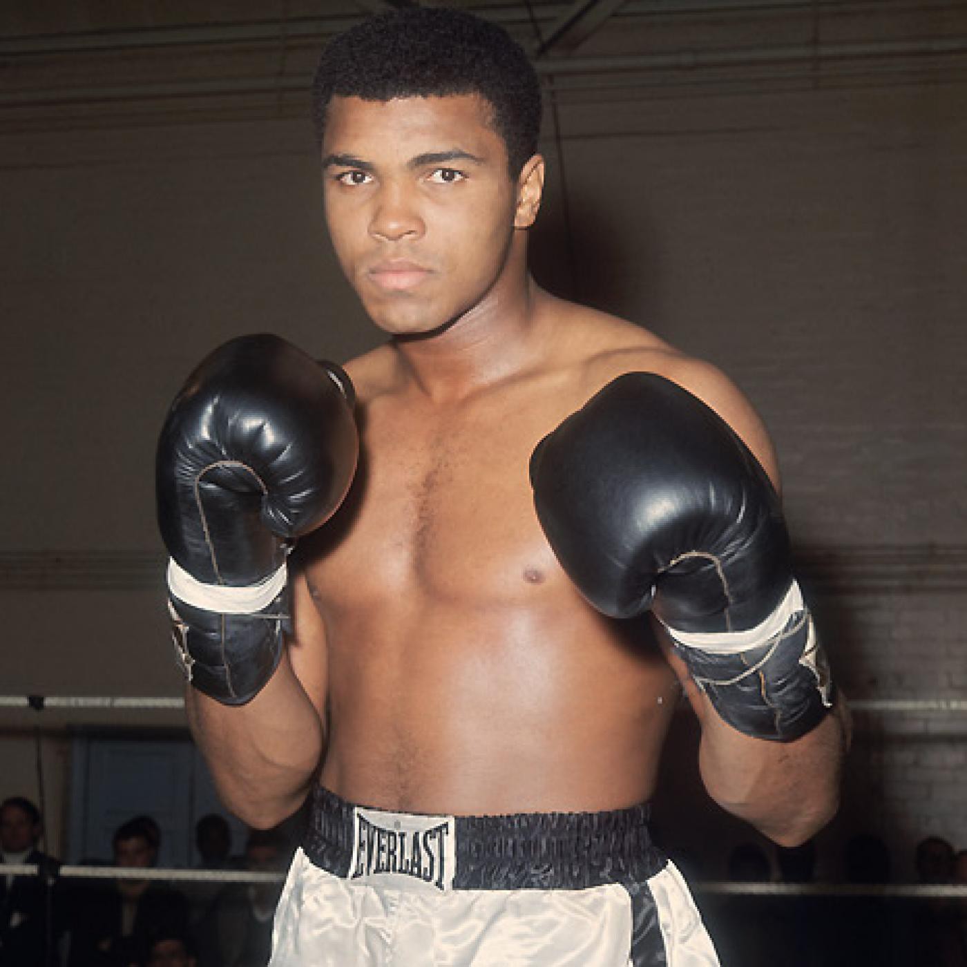 Podcast de La Sal Del Boxeo